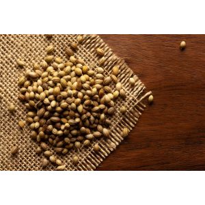 Biji Ketumbar - Coriander Seed