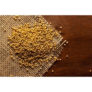 Biji Sawi Kuning - Yellow Mustard Seed