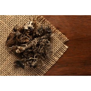 Bunga Batu - Kalpasi (Black Stone Flower)