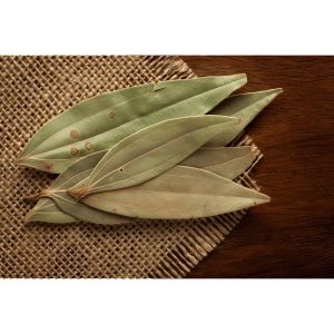 Daun Salam - Bay Leaves